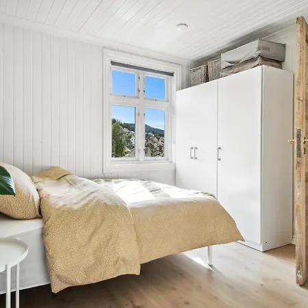 Lys&fin Loftsleilighet