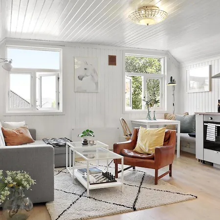 Apartment Lys And Fin Loftsleilighet Drammen