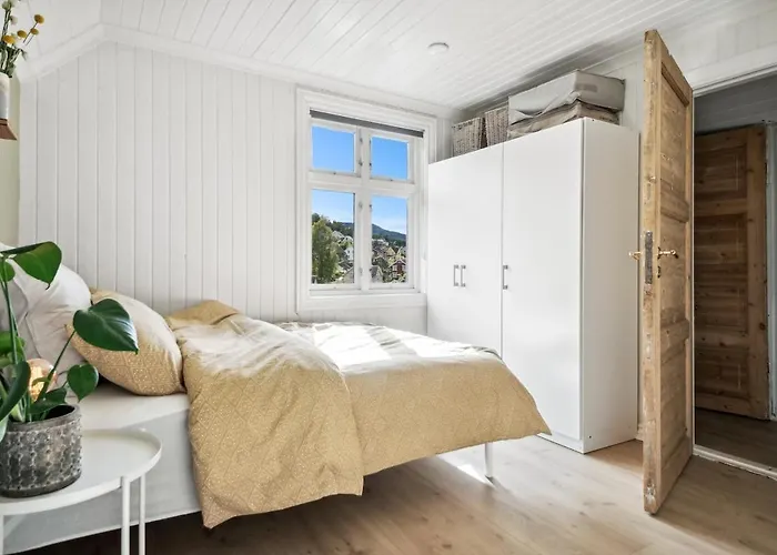 Lys And Fin Loftsleilighet